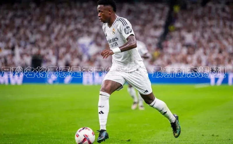 极悦官方网站app下载观星盘足球名将聂磊是否已经退役？最新动态揭秘！