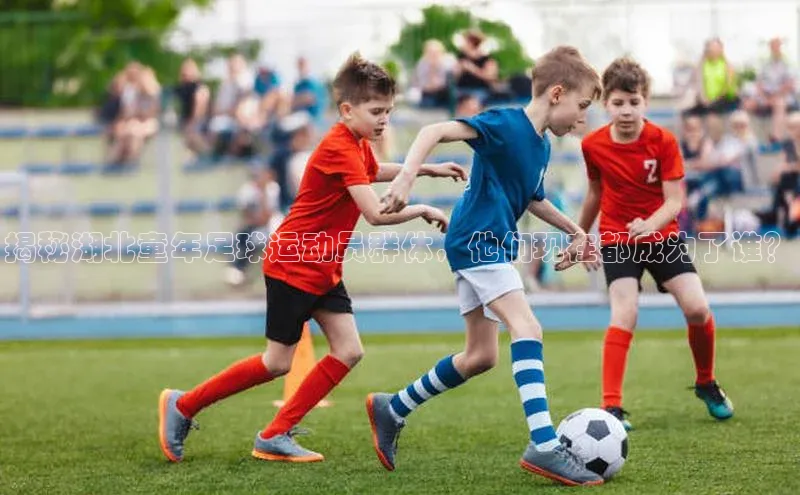 极悦平台官网登录文心一言揭秘湖北童年足球运动员群体，他们现在都成为了谁？