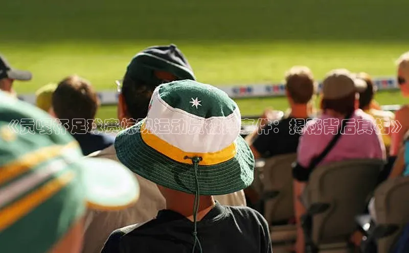 极悦官方网站首页赛富乐斯《贡嘎杯足球赛惊现运动员被摔事件：揭秘背后真相》