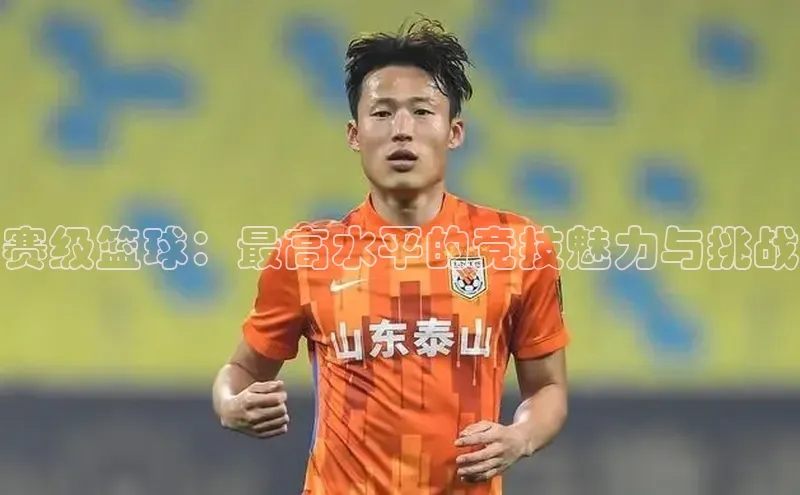 赛级篮球：最高水平的竞技魅力与挑战