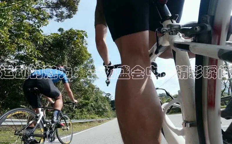 运动的魅力：一场盛会中的精彩瞬间