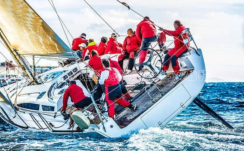 从零开始：顶级运动赛事的科学与实战教学视频