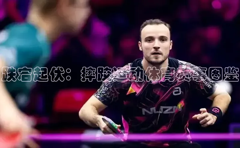 跌宕起伏：摔跤运动体育赛事图鉴