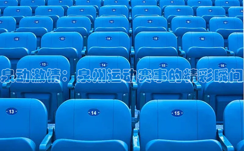 泉动激情：泉州运动赛事的精彩瞬间