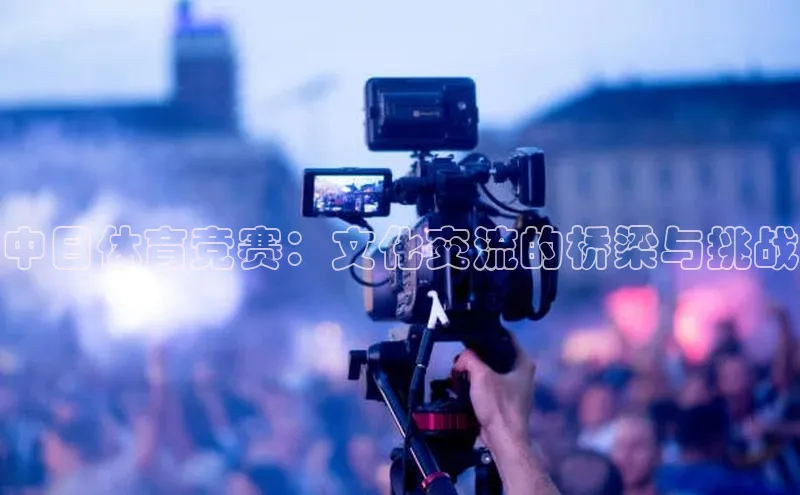 中日体育竞赛：文化交流的桥梁与挑战