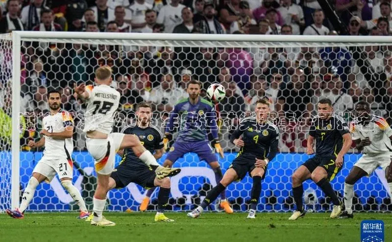 巅峰对决：2023年度运动类赛事全面排名