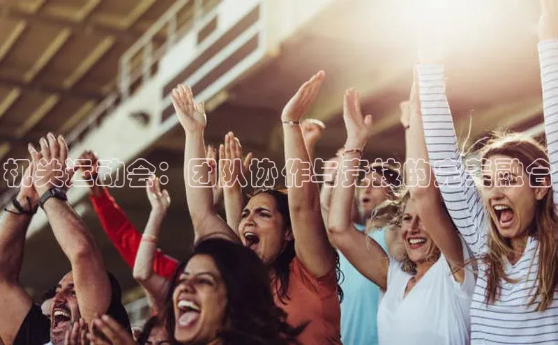 机关运动会：团队协作与竞技的完美融合