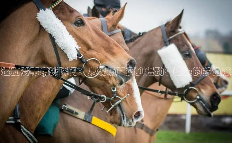 运动赛事精彩瞬间：从现场直播到慢动作回放的多角度
