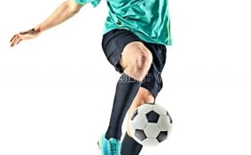 极悦平台官网登录